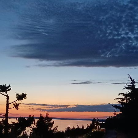 Villa Horizon Starigrad Paklenica Bagian luar foto